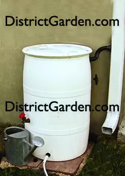 $99 Complete Rain Barrel + Diverter Installation for DC Residents
                                                for sale
                                in
                                Washington,
                                Washington