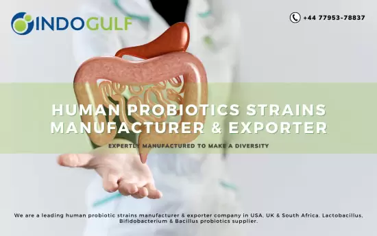 Boost Your Health With Trusted Human Probiotics Su