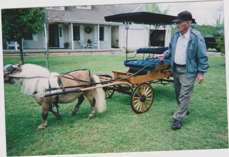 $3,800 Miniature or pony horse carriage
                                                for sale
                                in
                                Murphysboro,
                                Illinois