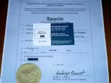 EXPRESS POWER OF ATTORNEY APOSTILLE or AUTHENTICATION SERVICES (Any Language)